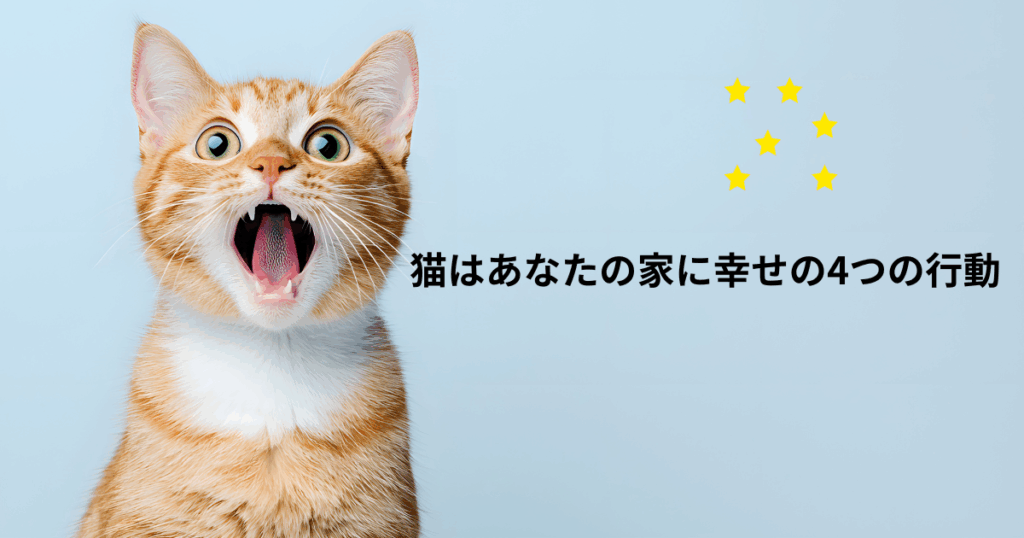 幸せそうに眠る猫の姿と、安心して暮らす猫のしぐさ