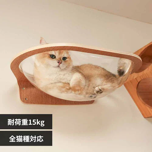猫と暮らす部屋になじむ透明アクリルキャットベッド